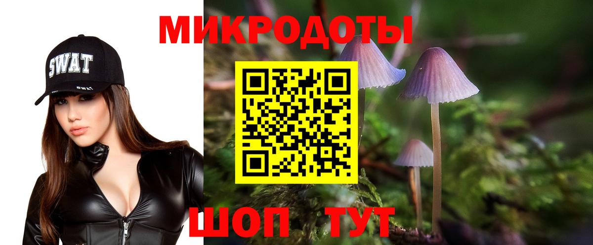 Галлюциногенные грибы Cubensis Лениногорск